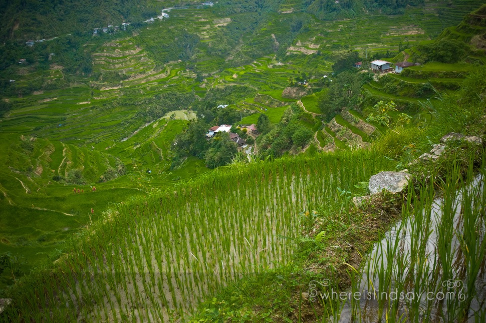 Banaue 059.jpg