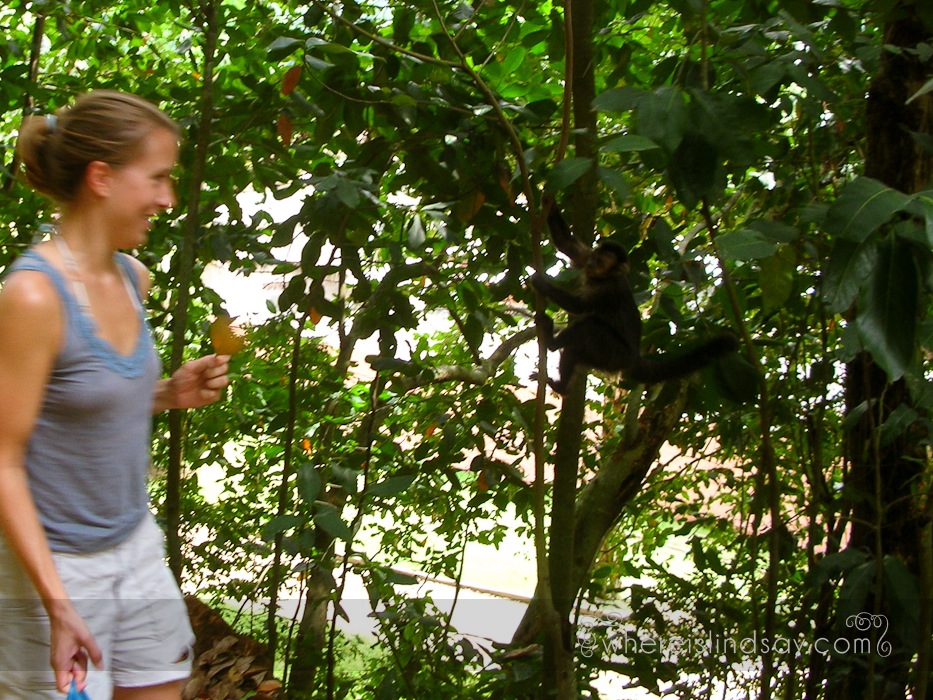 Jardin Botanico 008.jpg